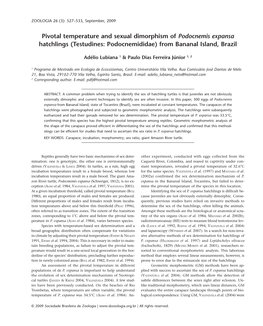 Pivotal Temperature and Sexual Dimorphism of Podocnemis Expansa Hatchlings (Testudines: Podocnemididae) from Bananal Island, Brazil