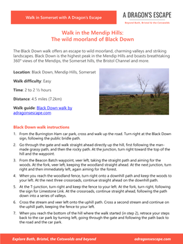 Walk in the Mendip Hills: the Wild Moorland of Black Down