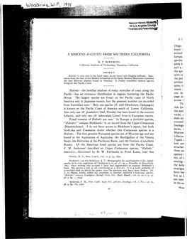 Natural History Museutti J of Los Angeles County ' • Invertebrate Paleontology a MIOCENE HA LI OTIS from SOUTHERN CALIFORNIA H