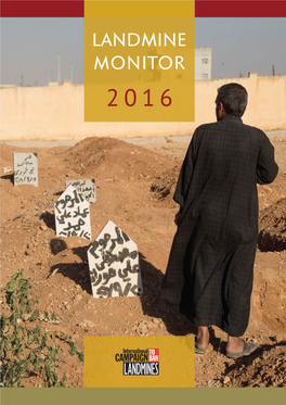 Landmine Monitor 2016