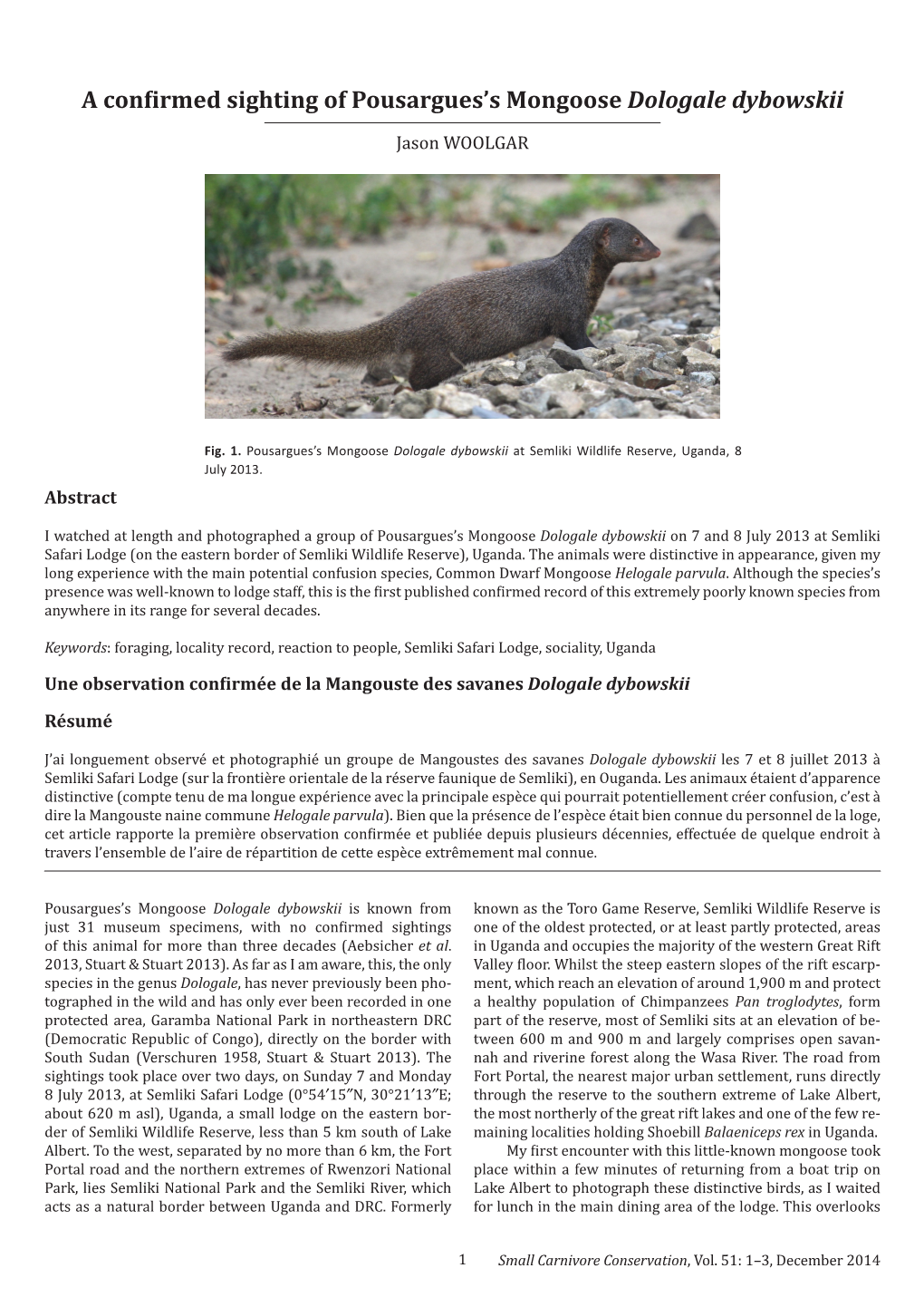 A Confirmed Sighting of Pousargues's Mongoose Dologale Dybowskii