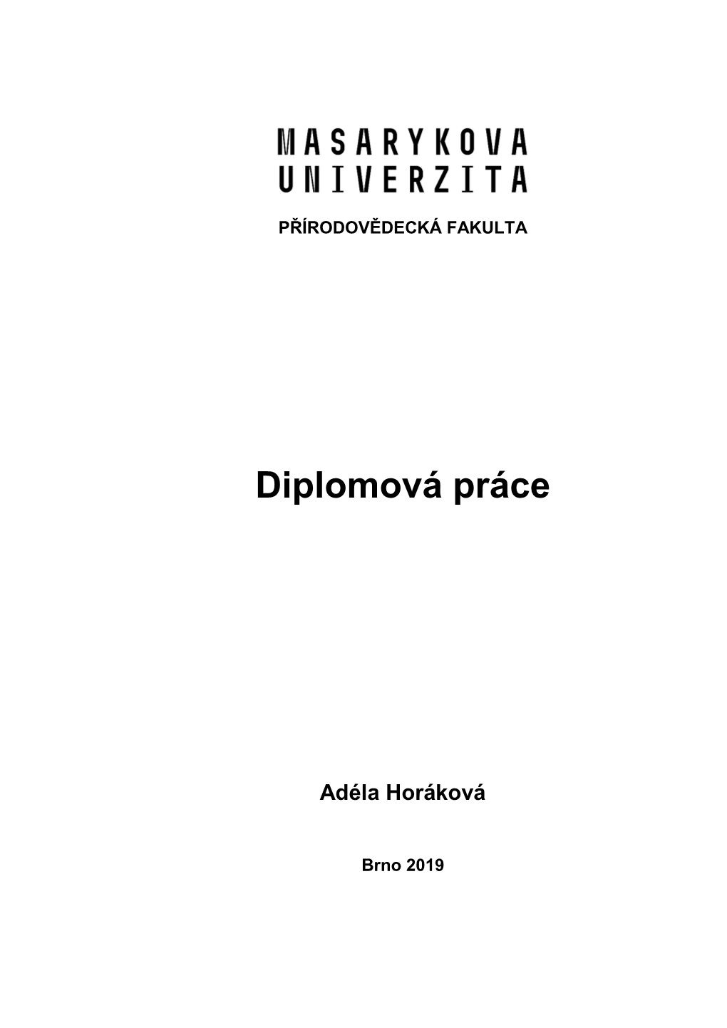 Diplomová Práce