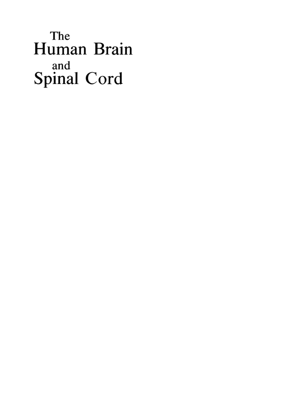 Human Brain Spinal Cord