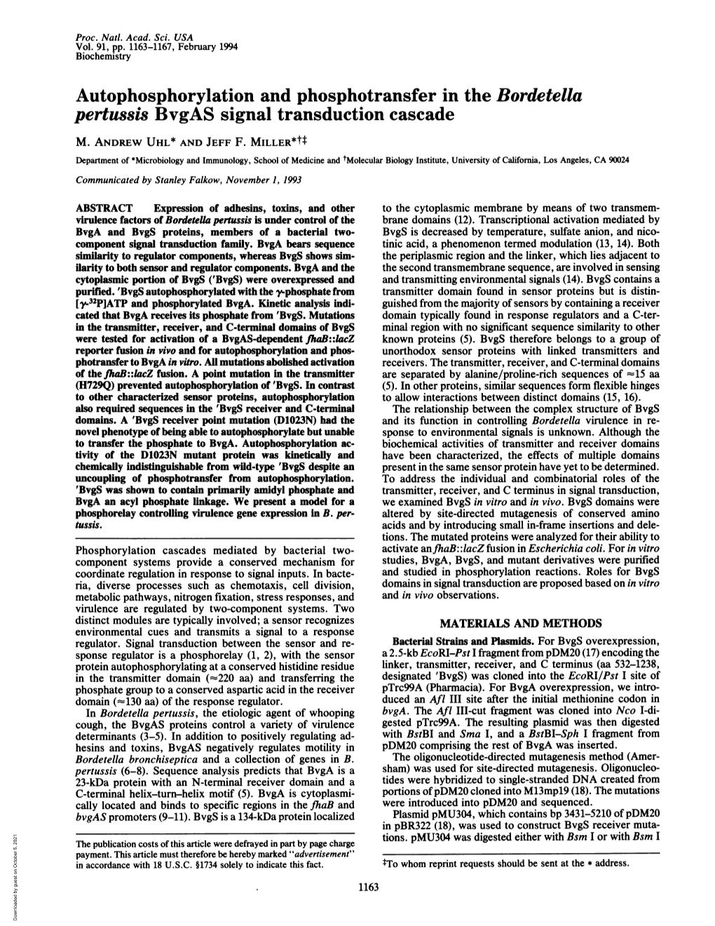 Autophosphorylation and Phosphotransfer in the Bordetella Pertussis Bvgas Signal Transduction Cascade M