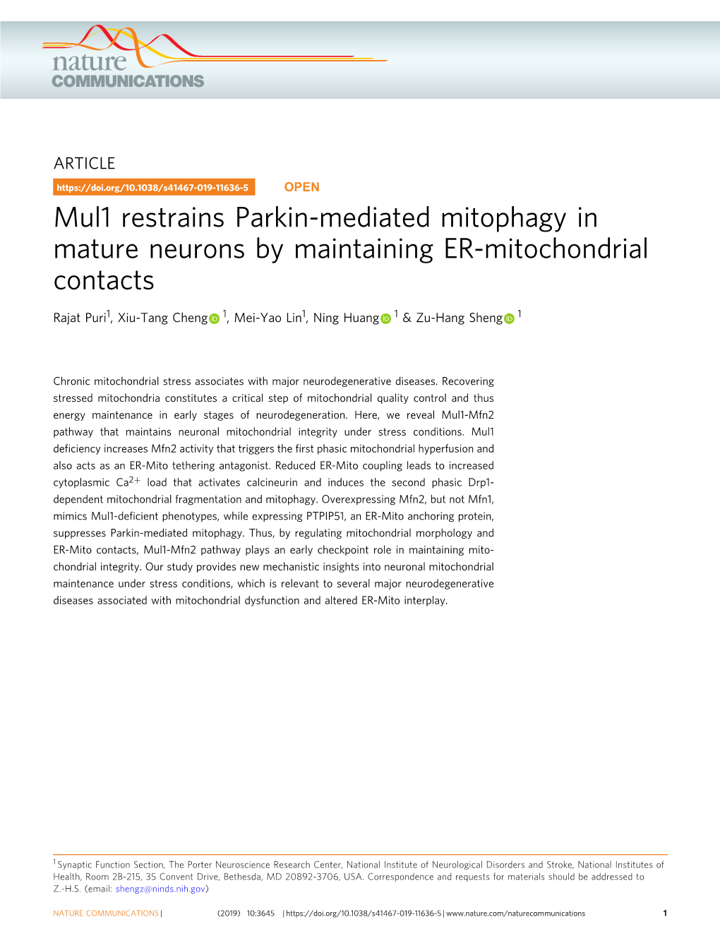 Mul1 Restrains Parkin-Mediated Mitophagy in Mature Neurons by Maintaining ER-Mitochondrial Contacts
