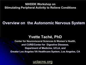 Overview on the Autonomic Nervous System