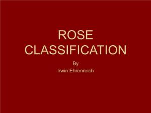 ROSE CLASSIFICATION by Irwin Ehrenreich Rose Colors