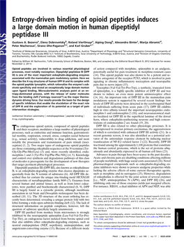 Entropy-Driven Binding of Opioid Peptides Induces a Large Domain Motion in Human Dipeptidyl Peptidase III