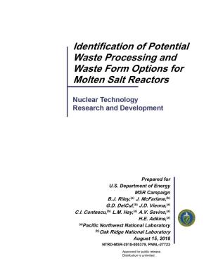 Identification of Potential Waste Processing and Waste Form Options for Molten Salt Reactors