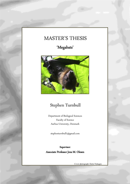 Master's Thesis