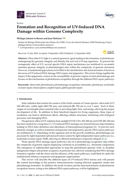 Formation and Recognition of UV-Induced DNA Damage Within Genome Complexity