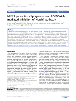 Hper3 Promotes Adipogenesis Via Hhsp90aa1-Mediated Inhibition Of