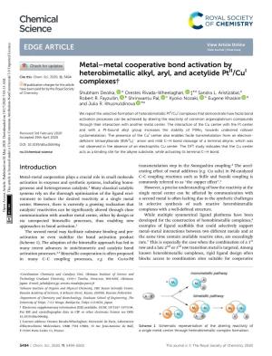 Metal–Metal Cooperative Bond Activation by Heterobimetallic Alkyl, Aryl, and Acetylide Ptii/Cui Cite This: Chem