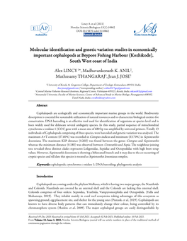 Molecular Identification and Genetic Variation Studies in Economically Important Cephalopods at Beypore Fishing Harbour (Kozhikode), South West Coast of India