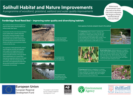 Fordbridge Road Reed Bed – Improving Water Quality and Diversifying Habitats