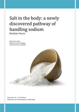 Salt in the Body: a Newly Discovered Pathway of Handling Sodium Bachelor Thesis