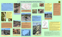 Arizona Cliffrose (Purshia Subintegra) on the Coconino National Forest Debra L