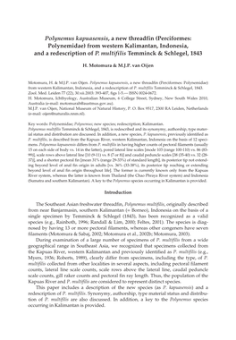 Polynemus Kapuasensis, a New Threadfin (Perciformes: Polynemidae) from Western Kalimantan, Indonesia, and a Redescription of P