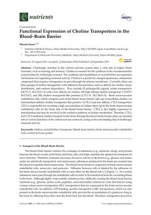 Functional Expression of Choline Transporters in the Blood–Brain Barrier