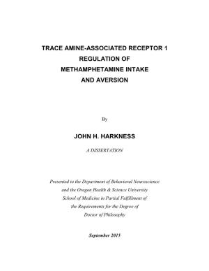 Trace Amine-Associated Receptor 1 Regulation of Methamphetamine Intake and Aversion