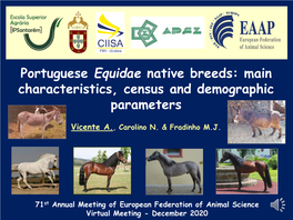 Portuguese Equidae Native Breeds: Main Characteristics, Census and Demographic Parameters