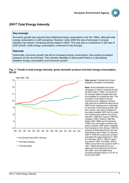 Total Energy Intensity