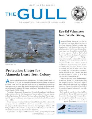 Protection Closer for Alameda Least Tern Colony