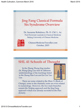 Jing Fang Classical Formula Six Syndrome Overview SHL 41