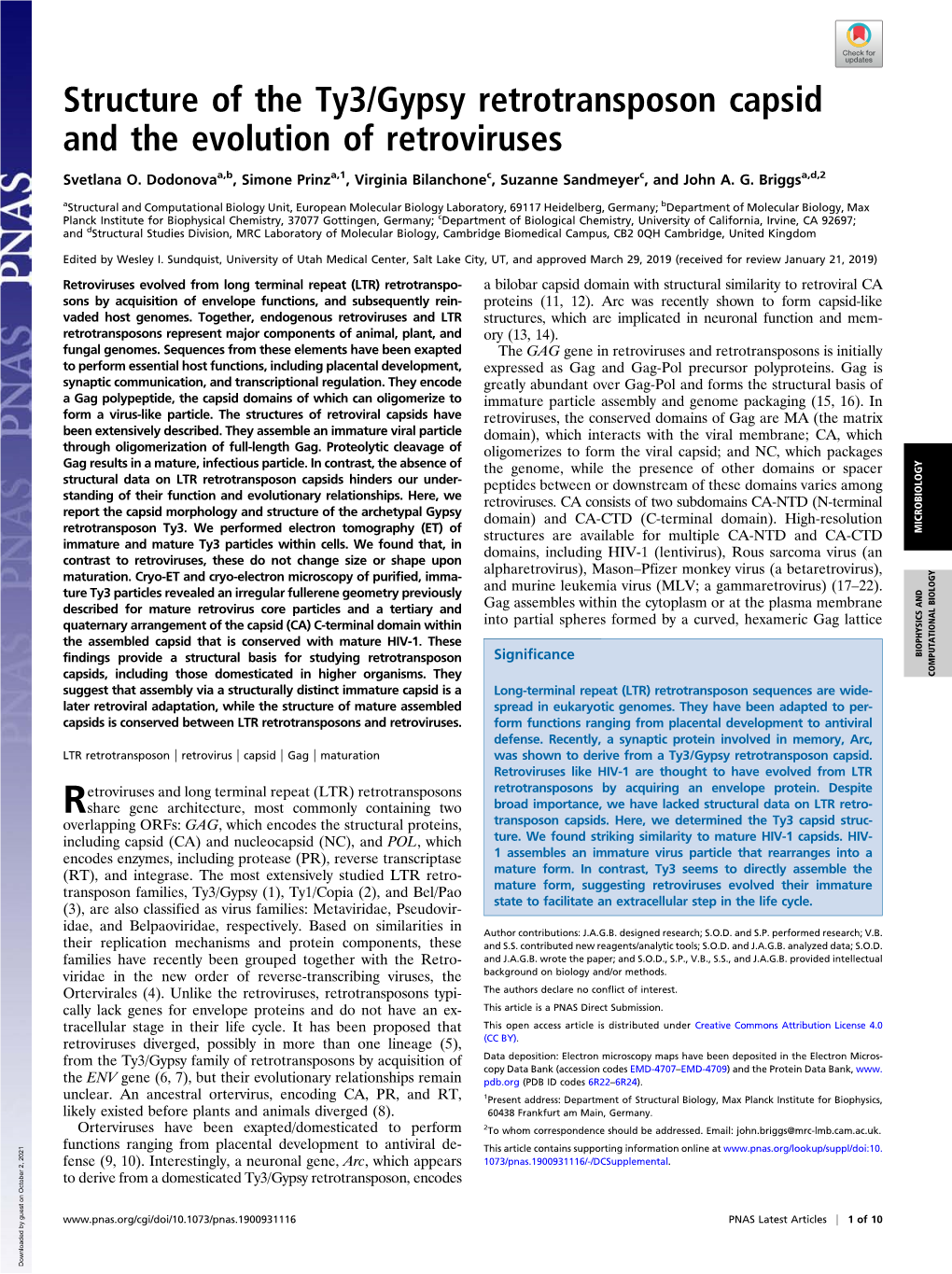 Structure of the Ty3/Gypsy Retrotransposon Capsid and the Evolution of Retroviruses