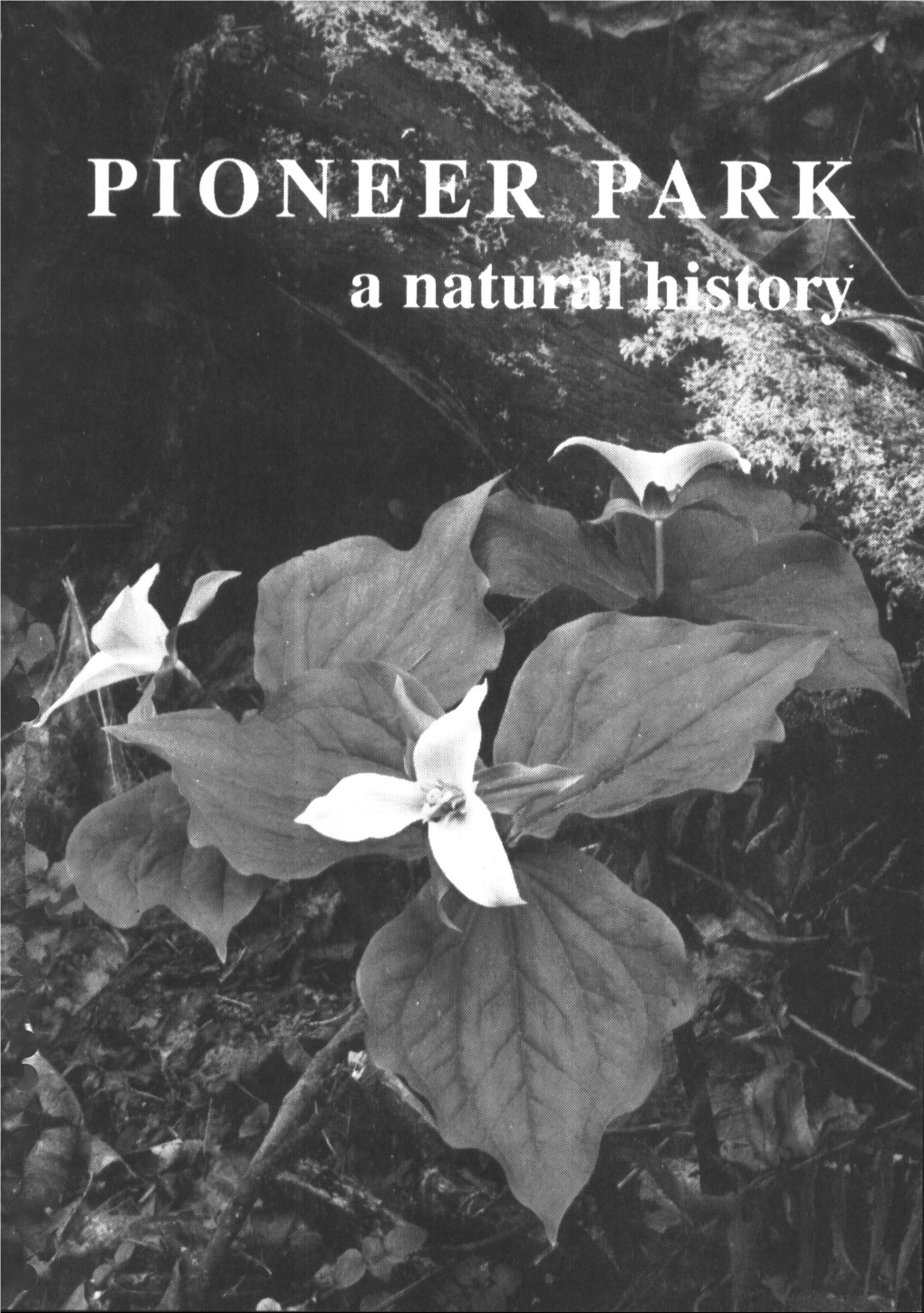 View a Natural History of Pioneer Park