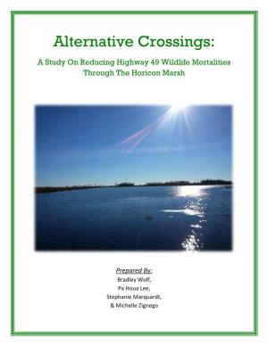 Alternative Crossings: a Study on Reducing Highway 49 Wildlife