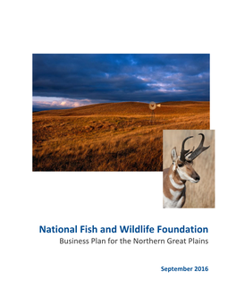 Northern Great Plains Business Plan