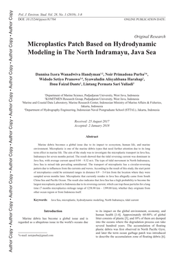 Microplastics Patch Based on Hydrodynamic Modeling in The