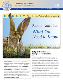 Rabbit Nutrition: What You Need to Know