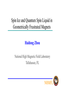 Spin Ice and Quantum Spin Liquid in Geometrically Frustrated Magnets