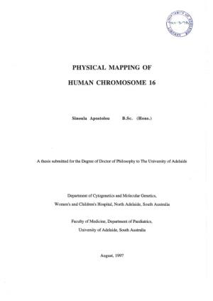 Physical Mapping of Human Chromosome 16