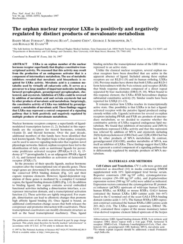 The Orphan Nuclear Receptor LXR Is Positively and Negatively Regulated