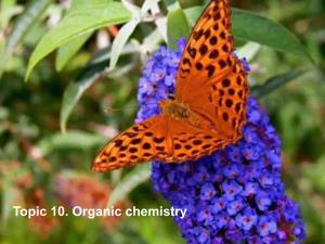 Topic 10. Organic Chemistry