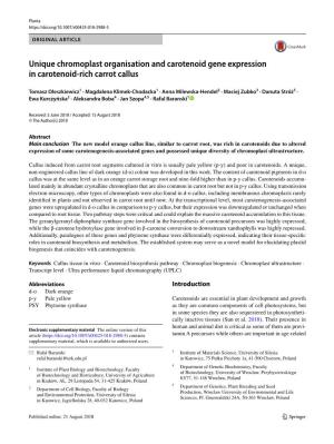 Unique Chromoplast Organisation and Carotenoid Gene Expression in Carotenoid‑Rich Carrot Callus