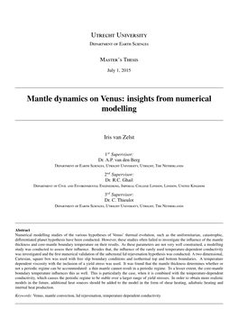 Mantle Dynamics on Venus: Insights from Numerical Modelling