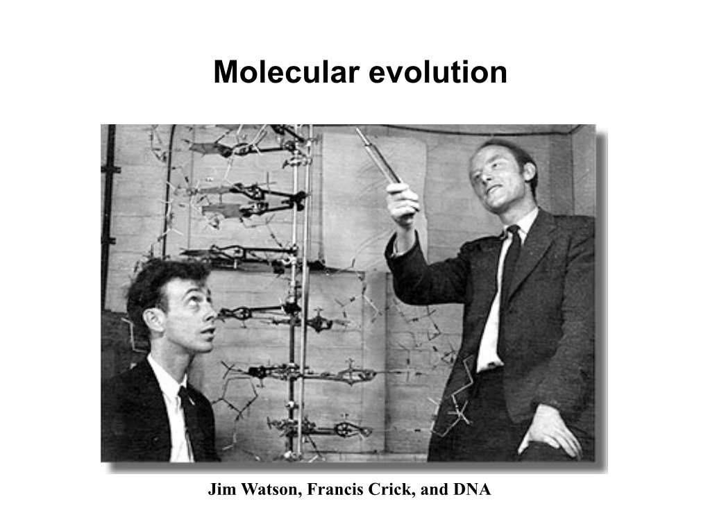 Molecular Evolution