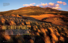 For More Than a Thousand Years, People Have Been Flocking to the Western Flank of the San Francisco Peaks