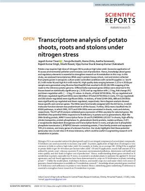 Transcriptome Analysis of Potato Shoots, Roots and Stolons Under Nitrogen Stress
