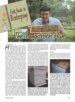 Langstroth-Hive