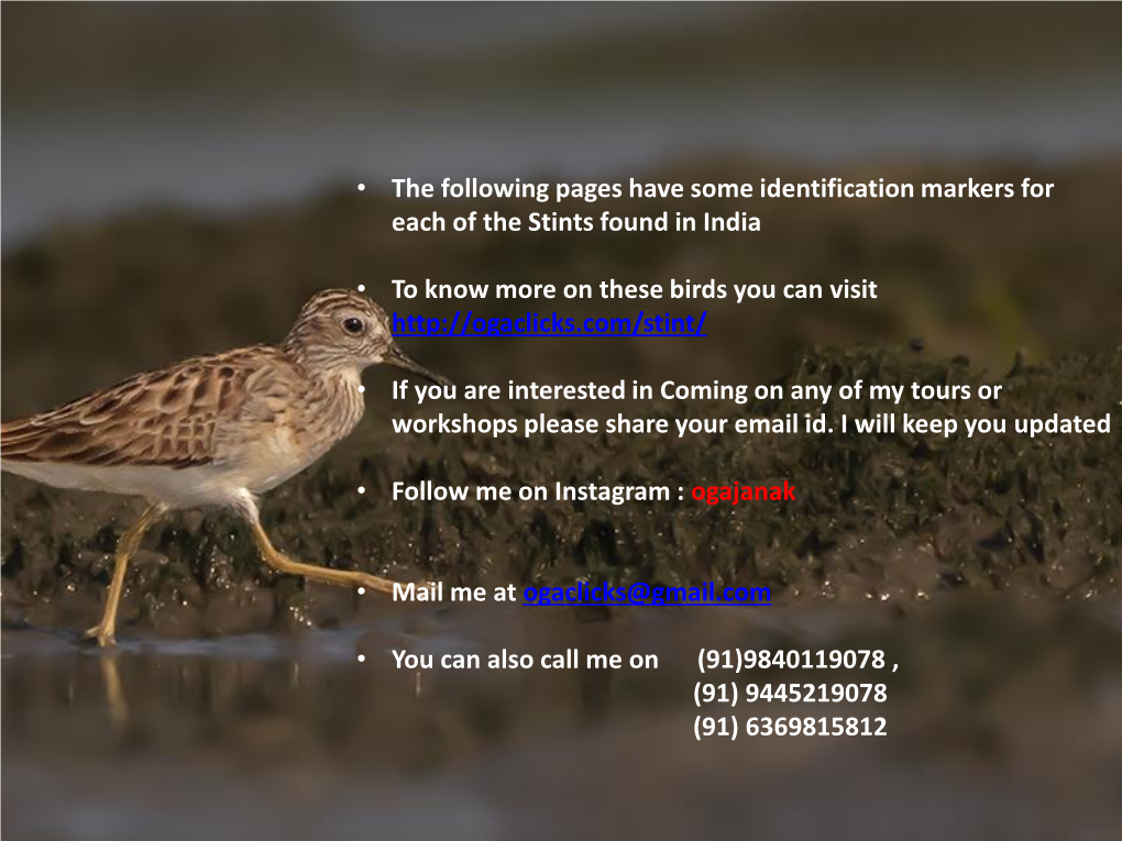 • the Following Pages Have Some Identification Markers for Each of the Stints Found in India