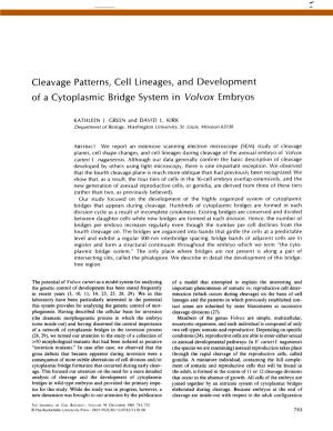 Cleavage Patterns, Cell Lineages, and Development of a Cytoplasmic Bridge System in Volvox Embryos