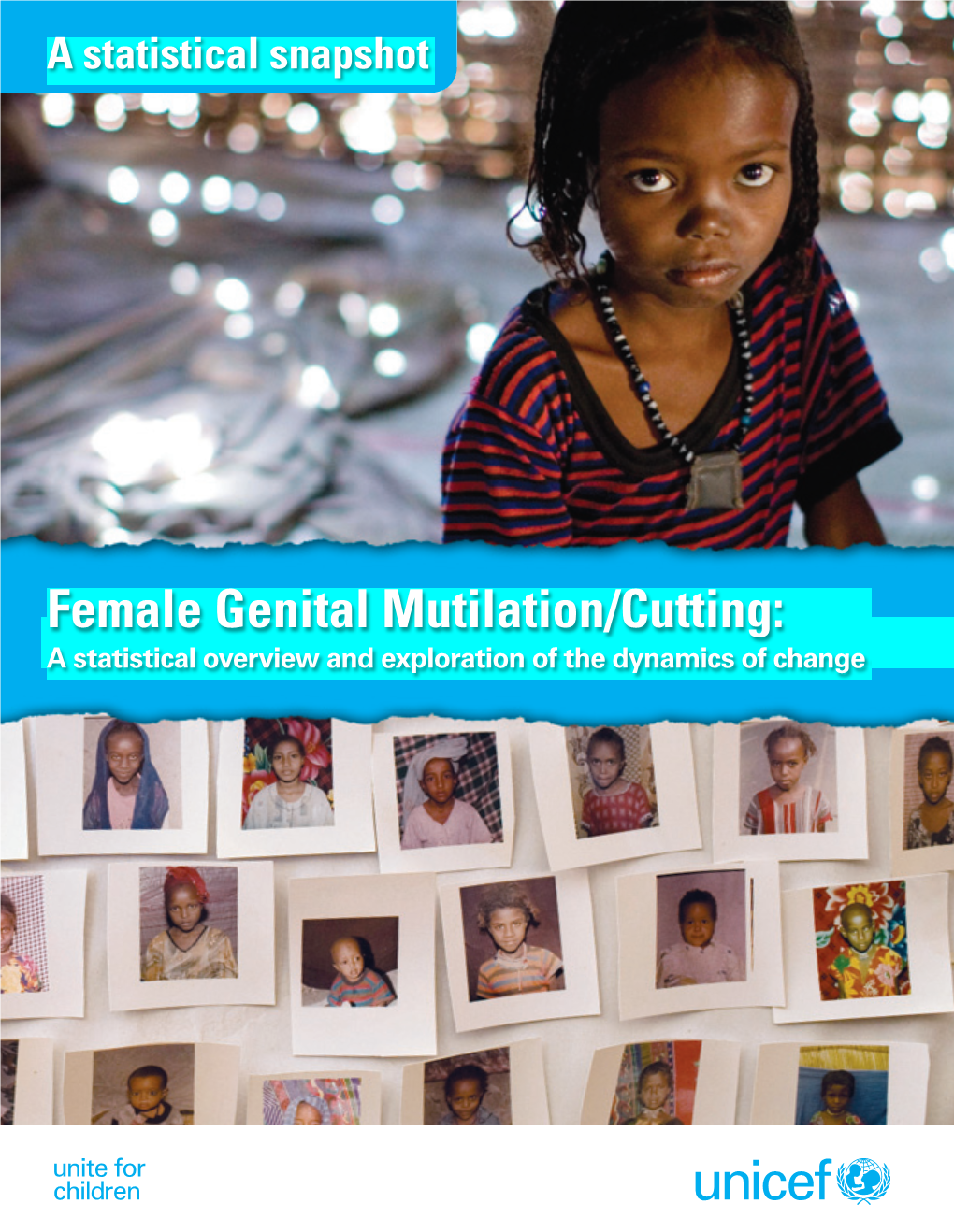 Female Genital Mutilation/Cutting: a Statistical Overview and Exploration of the Dynamics of Change