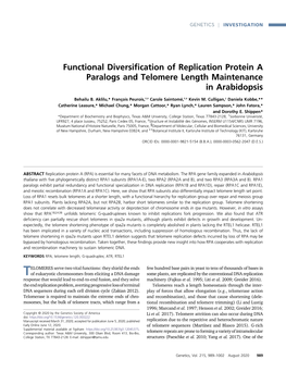 Functional Diversification of Replication Protein A
