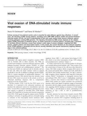 Viral Evasion of DNA-Stimulated Innate Immune Responses
