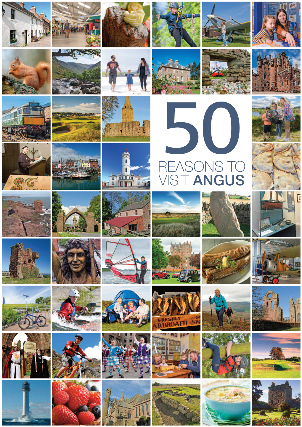 Reasons to Visit Angus Angus… a Step Away from the Everyday